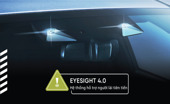 Eyesight