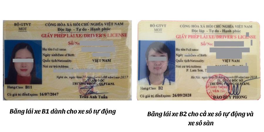 Nên Học B1 Hay B2: Phân Tích Toàn Diện Giúp Bạn Quyết Định Đúng 5 Phân biệt bằng b1 và b2