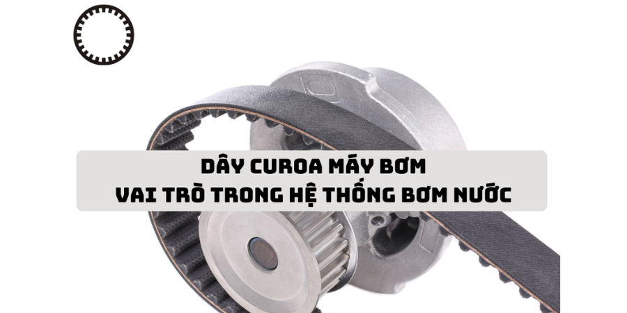 Cách Tính Dây Curoa Chuyên Nghiệp: Công Thức & Phương Pháp Đo Chính Xác 11 Dây curoa cho máy bơm nước
