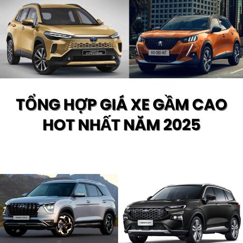 Giá Xe Gầm Cao Dưới 1 Tỷ Được Ưa Chuộng Tại Việt Nam