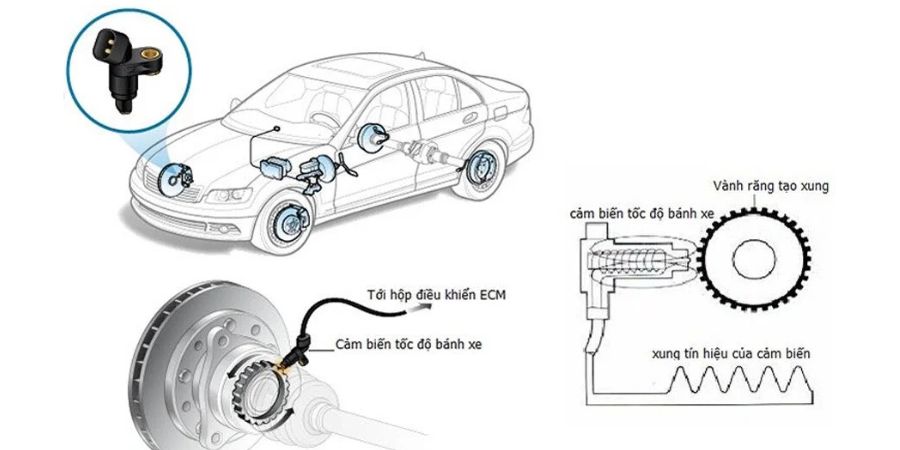 Auto Hold: Tính Năng Giữ Phanh Tự Động Tiện Lợi Tăng An Toàn 3 Cảm biến tốc độ bánh xe kết nối với hộp điều khiển ECM để xác định khi xe dừng hẳn