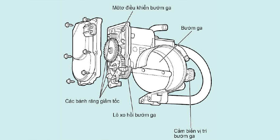 Cảm biến bướm ga – Chức năng, cấu tạo & nguyên lý hoạt động 3 Cấu tạo cảm biến bướm ga
