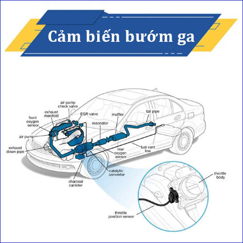 Cảm biến bướm ga – Chức năng, cấu tạo & nguyên lý hoạt động