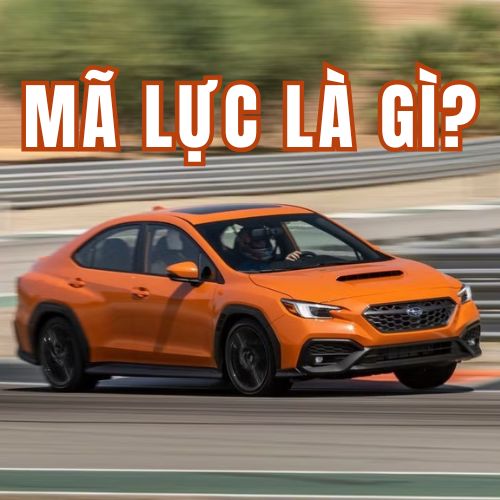Mã Lực Là Gì? Cần Biết Những Gì Khi Mua Ô Tô?