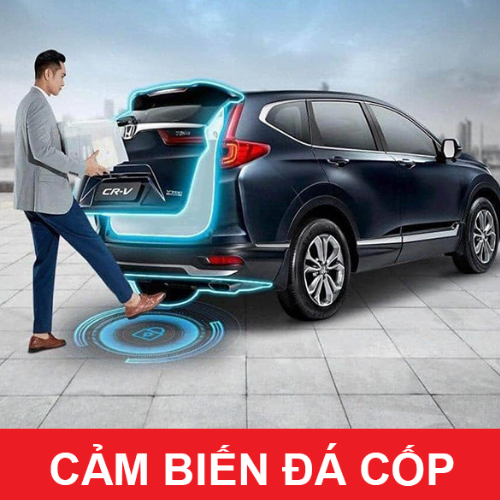 Cảm Biến Đá Cốp: Hướng Dẫn Toàn Diện Và Chi Phí Lắp Đặt 2025