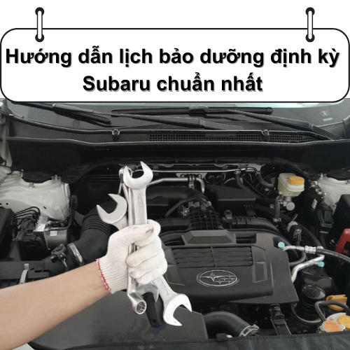 Hướng dẫn lịch bảo dưỡng định kỳ Subaru chuẩn nhất