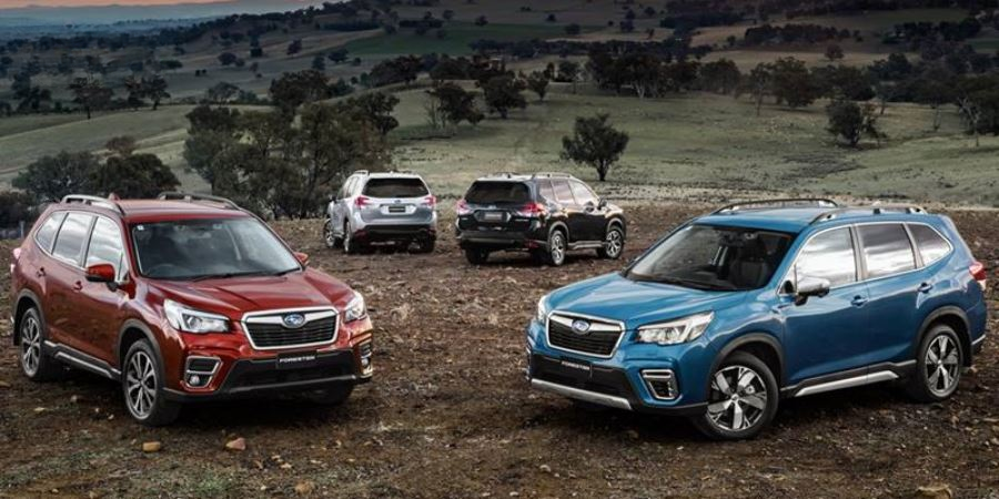 Nên Mua Xe Subaru Cũ Hay Mới? Phân Tích Chi Tiết 3 Nhung rui ro khi mua xe Subaru cu