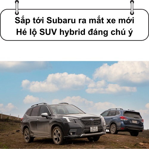 Subaru chuẩn bị ra mắt mẫu xe mới đầy bất ngờ