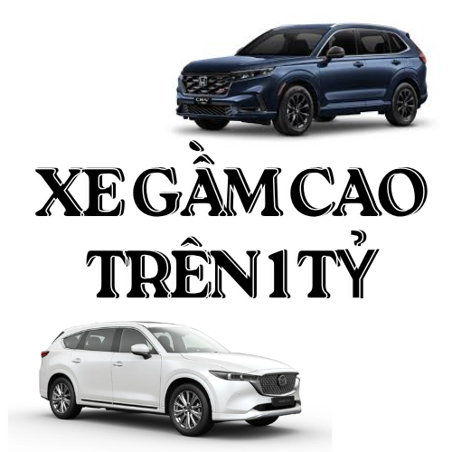 Xe 5 chỗ gầm cao giá trên 1 tỷ