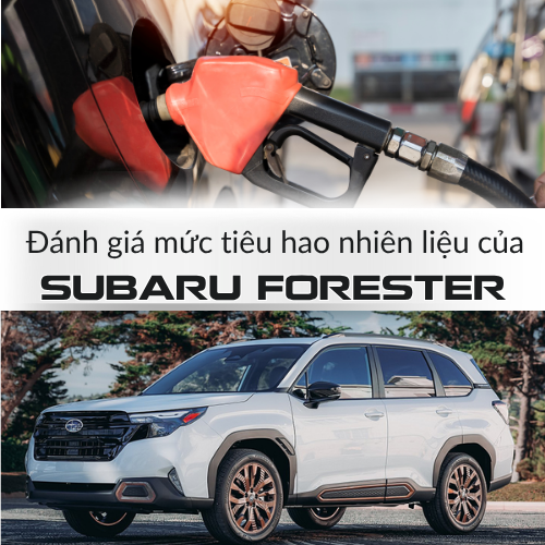 Đánh giá mức tiêu hao nhiên liệu của Subaru Forester
