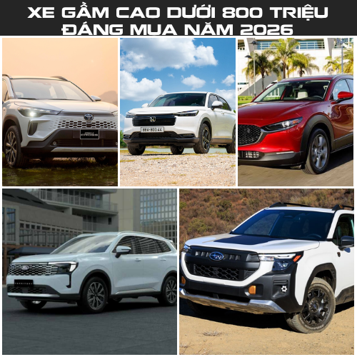 Gợi Ý Xe Gầm Cao Dưới 800 Triệu Nên Chọn